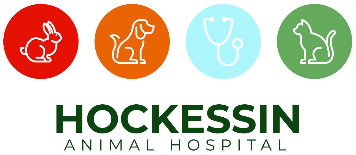 Hockessin Animal Hospital